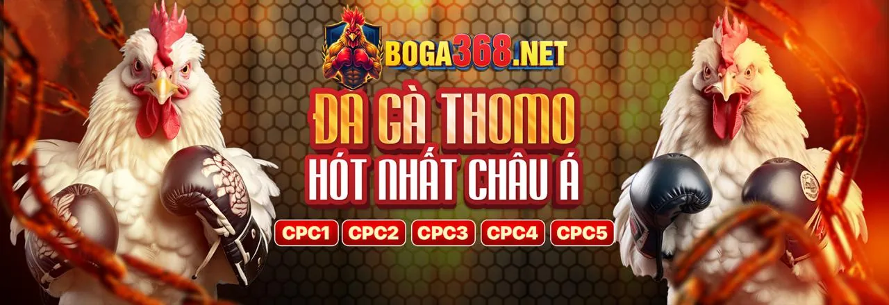 Đấu trường đá gà trực tuyến kịch tính tại win5501 nhà cái